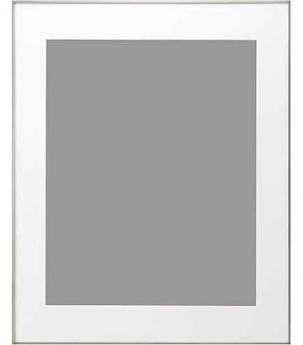 Amazon.co.jp: FUJICOLOR 額縁 A10N 全紙 アルミ シルバー 17614